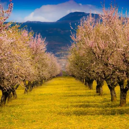 Fontellas-ayerbe Apartment *