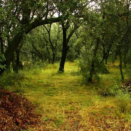 Fontellas-ayerbe Fontellas (Aragon)