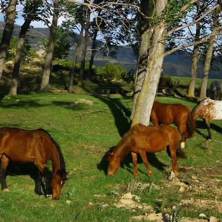 Fontellas-ayerbe Fontellas (Aragon)