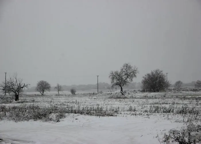 Fontellas-ayerbe Fontellas (Aragon)