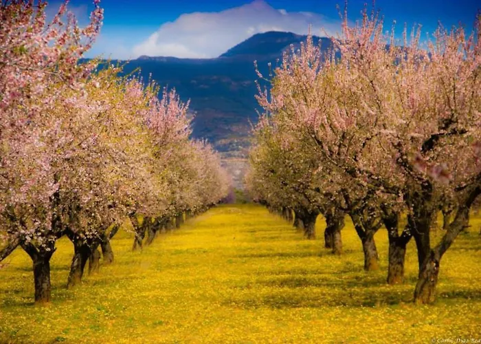 Fontellas-ayerbe Apartamento *