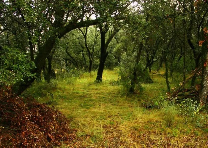 Fontellas-ayerbe Fontellas (Aragon)