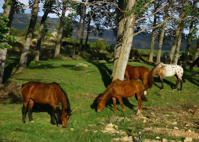 Fontellas-ayerbe Fontellas (Aragon)